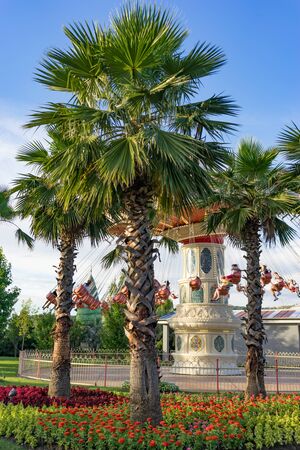 Sochi, Russia-June 19, 2018: amusement Park for children and adults with attractions.Childrens carousel surrounded by high and green palm trees against the evening skyのeditorial素材