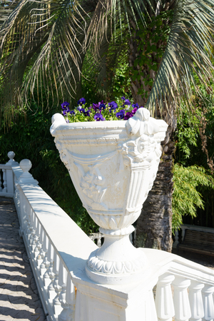 White stone ornaments of the public Park in Sochiの写真素材