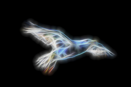 Neon glowing Seagull on black backgroundの写真素材