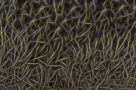 Abstract background in purple-yellow with glowing fractal lines in dark.の写真素材
