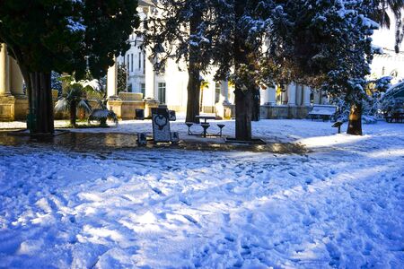 Sukhumi, Abkhazia-January 27, 2017: Urban landscape in winter with snow in the sub-tropics.のeditorial素材