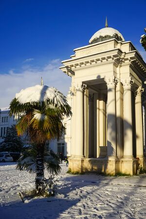 Sukhumi, Abkhazia-January 27, 2017: Urban landscape in winter with snow in the sub-tropics.のeditorial素材