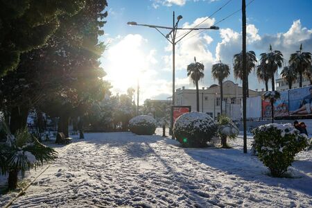Sukhumi, Abkhazia-January 27, 2017: Urban landscape in winter with snow in the sub-tropics.のeditorial素材