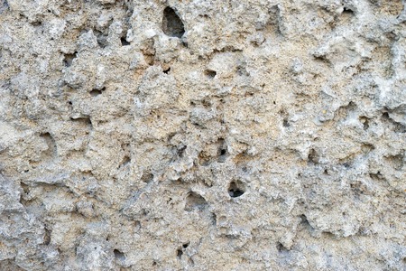 Light background of natural shell rock . For design and networking.の写真素材