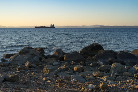Seascape with beautiful sunset and ships on the horizon.