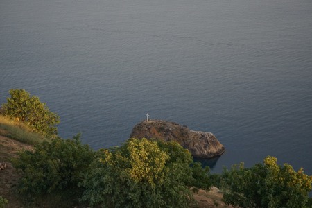 Seascape with coastline covered with vegetation.の写真素材