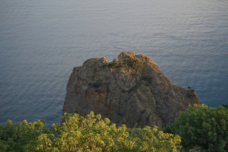 Seascape with coastline covered with vegetation.の写真素材