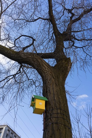 Urban landscape with bird houses on the background of trees without leaves.の写真素材
