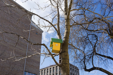 Urban landscape with bird houses on the background of trees without leaves.の写真素材