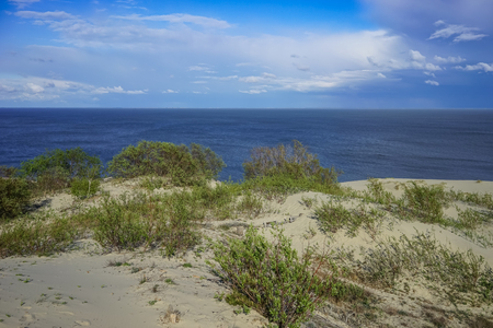 Sea landscape of the Baltic sea with coastal sand dunes of the Curonian spit.の写真素材