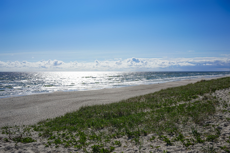 Sea landscape of the Baltic sea with coastal sand dunes of the Curonian spit.の写真素材