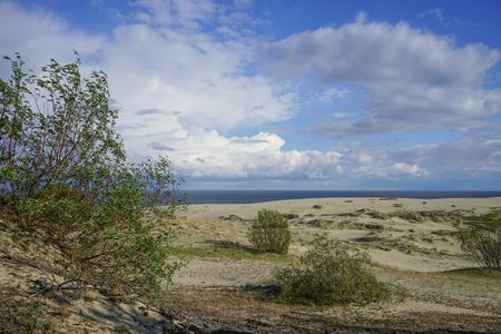 Sea landscape of the Baltic sea with coastal sand dunes of the Curonian spit.の写真素材