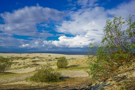 Sea landscape of the Baltic sea with coastal sand dunes of the Curonian spit.の写真素材