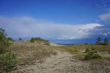 Sea landscape of the Baltic sea with coastal sand dunes of the Curonian spit.の写真素材
