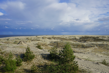 Sea landscape of the Baltic sea with coastal sand dunes of the Curonian spit. beauty of natureの写真素材