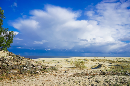 Sea landscape of the Baltic sea with coastal sand dunes of the Curonian spit. beauty of natureの写真素材