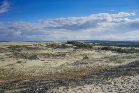 Sea landscape of the Baltic sea with coastal sand dunes of the Curonian spit. beauty of natureの写真素材