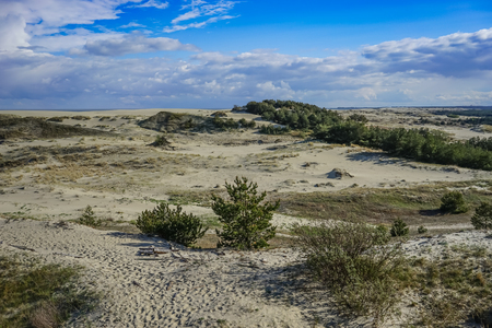 Sea landscape of the Baltic sea with coastal sand dunes of the Curonian spit. beauty of natureの写真素材