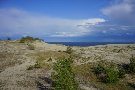 Sea landscape of the Baltic sea with coastal sand dunes of the Curonian spit. beauty of natureの写真素材