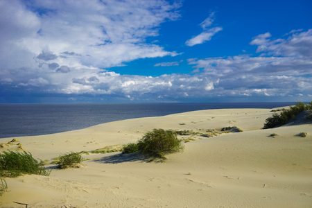 Sea landscape of the Baltic sea with coastal sand dunes of the Curonian spit. beauty of natureの写真素材