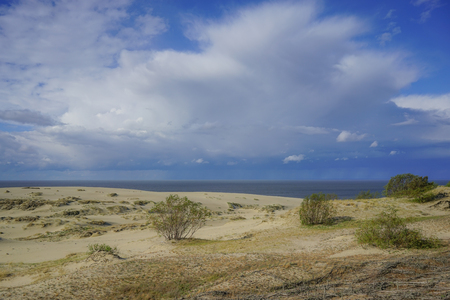 Sea landscape of the Baltic sea with coastal sand dunes of the Curonian spit. beauty of natureの写真素材