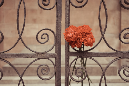 Bouquet of red carnations on the metal fence of Kant's graveの写真素材