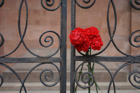 Bouquet of red carnations on the metal fence of Kant's graveの写真素材