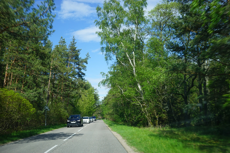 Landscape with the road to the Curonian spit, Kaliningrad region.の写真素材