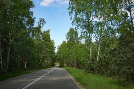 Landscape with the road to the Curonian spit, Kaliningrad region.の写真素材