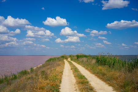 Natural landscape with a fantastic pink lake-a landmark of the Crimea.の写真素材