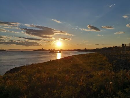 Seascape at sunset against a field of dandelions. Beauty of natureの写真素材