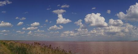 Panorama of pink lake Sasyk-Sivash in Crimeaの写真素材