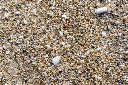 Abstract background with fine texture of stones and shellsの写真素材