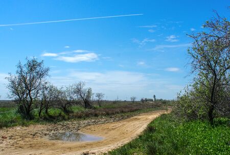 Natural landscape with road. Spit Chushka, Krasnodar Krai. On this place after built the road to the Crimean bridge.の写真素材