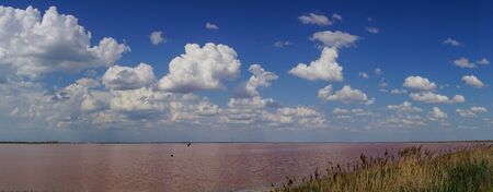 Natural landscape with pink salt lake. Evpatoria, Crimeaの写真素材