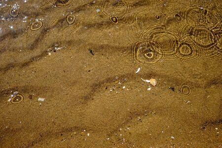 Sea summer vacation background.Seashells on sand.の写真素材
