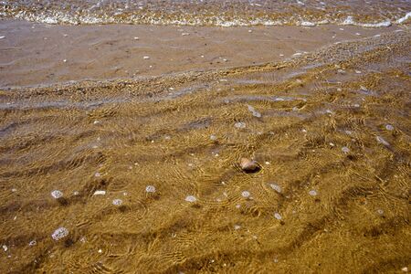 Sea summer vacation background.Seashells on sand.の写真素材