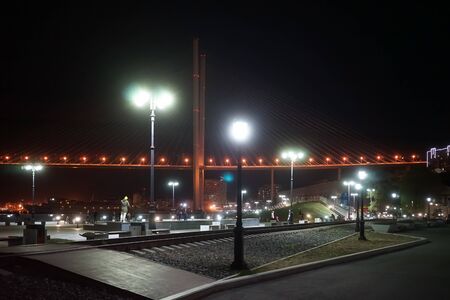 Vladivostok, Primorsky Krai - may 9, 2019: Landscape of the night city overlooking the embankment of the Tsarevich. People walk around the city under beautiful lanterns.のeditorial素材