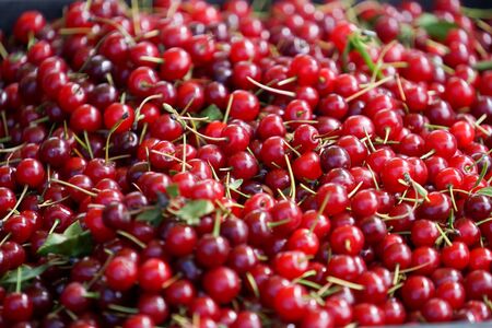Natural background with red cherry fruitsの写真素材