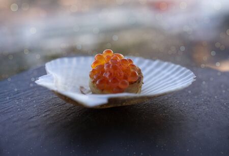 Red caviar on a scallop fillet and on a white shell on a dark slate background.の写真素材