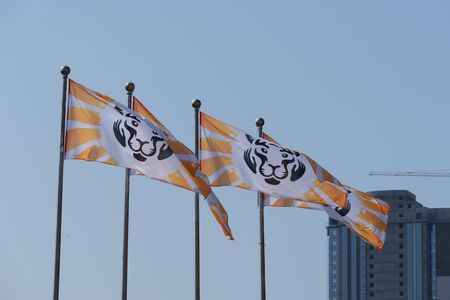 Vladivostok, Primorsky Krai-September 29, 2019: City square with people and cars during Tiger Day celebrations. The carnival is dedicated to the protection of ecology and the far Eastern tigers.のeditorial素材