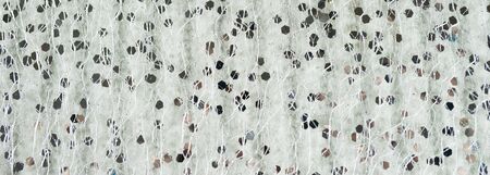 Textile background with sequins. For design and networking.の写真素材