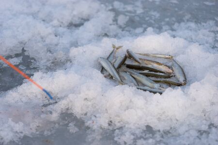 Winter fishing, ice fishing. Vladivostok, Russia.の写真素材