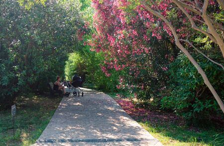 Sochi, Russia-June 24, 2018: A woman with a child in the Park of Southern cultures.のeditorial素材