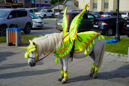 Vladivostok, Russia-July 6, 2020: Urban landscape with horses in colorful costumes.のeditorial素材