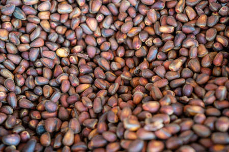 Natural background with pine nuts close up.の写真素材