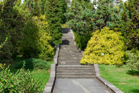 Natural landscape with a view of a tropical park. Sochi, Russiaの写真素材