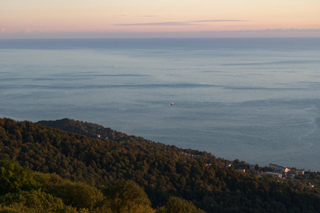 Aerial view of the urban landscape of Sochi, Russia.の写真素材