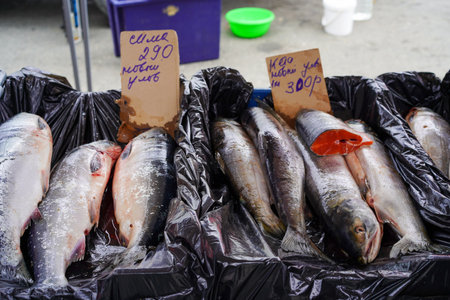 Sale of red fish in the market of Vladivostok, Russiaのeditorial素材