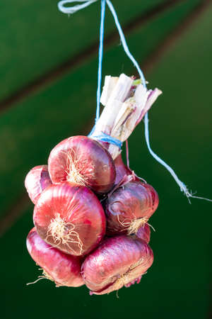 A bunch of red Yalta onions on a blurry background.の写真素材